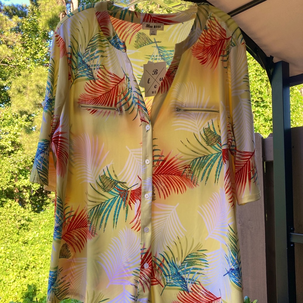 “Blue Mood” plus size button down top in size 2x